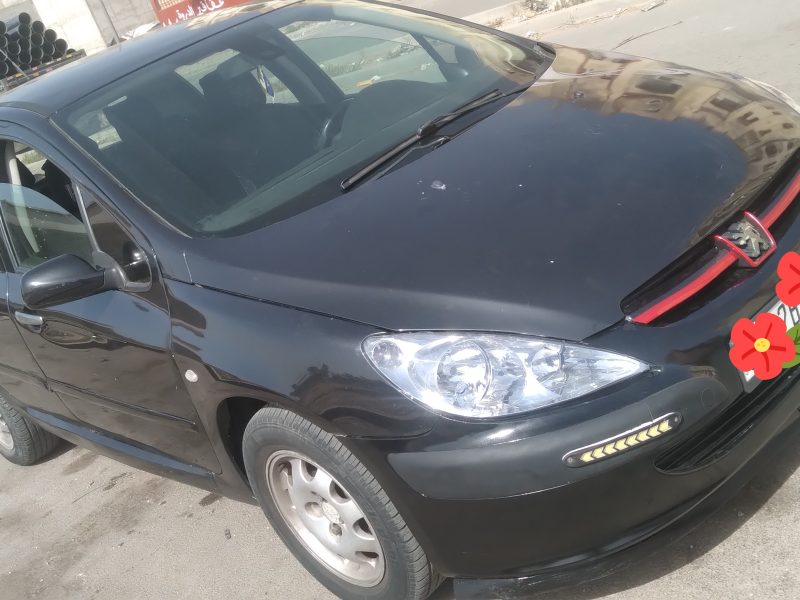 peugeot 307