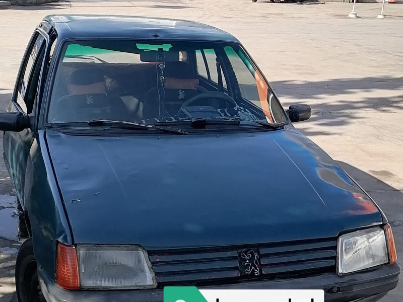 Voiture PEUGEOT 205 ESSENCE modèle 92