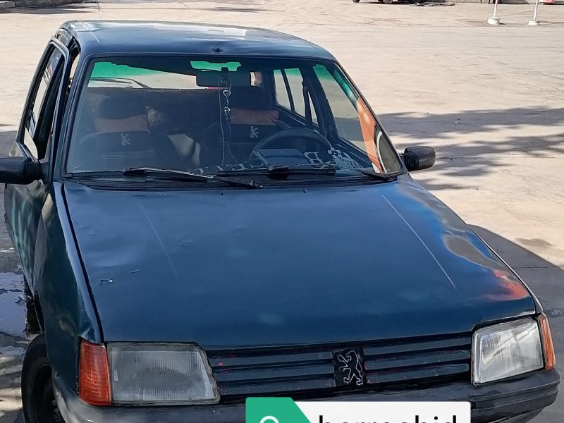 Voiture PEUGEOT 205 ESSENCE modèle 92